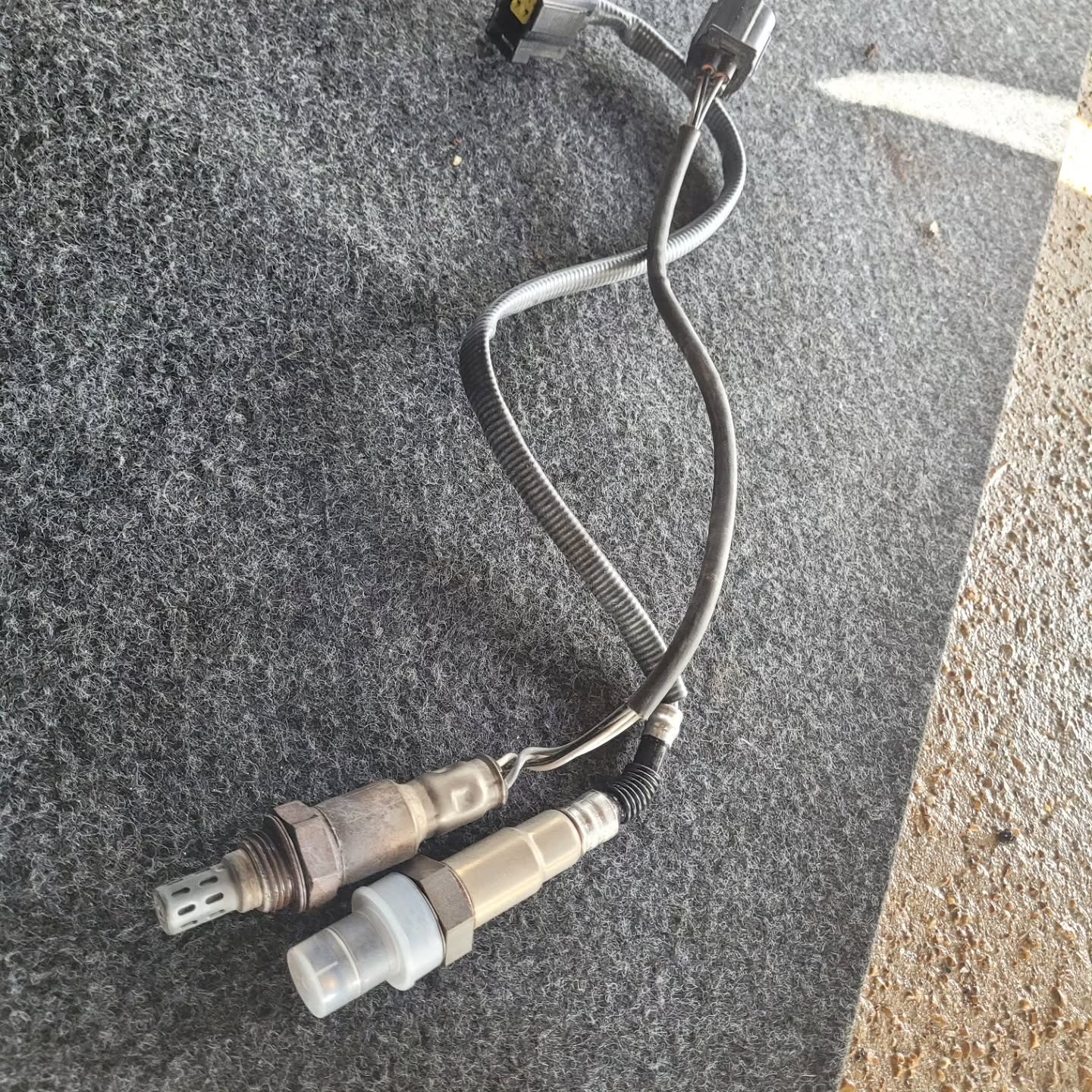Two oxygen sensors with wiring laid out on a mat